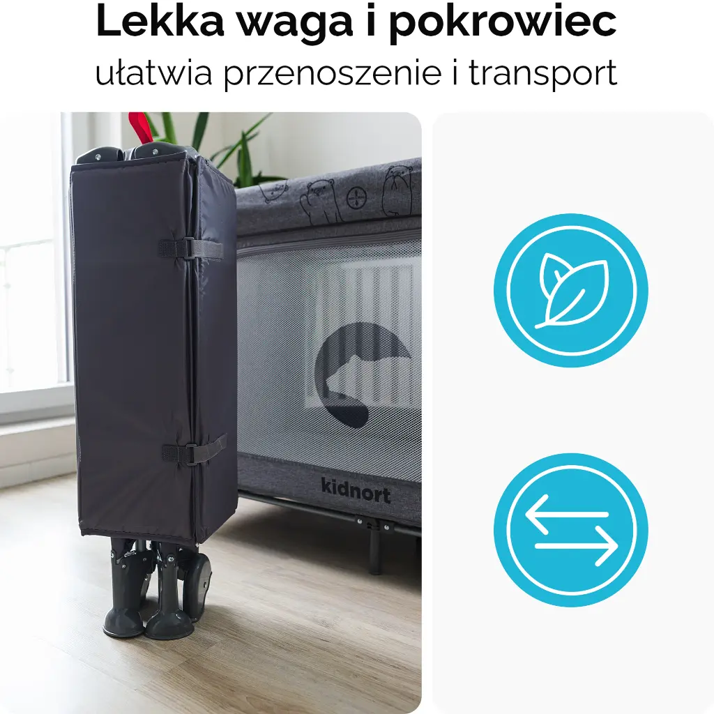 6.webp