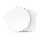 8.webp