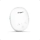 6.webp