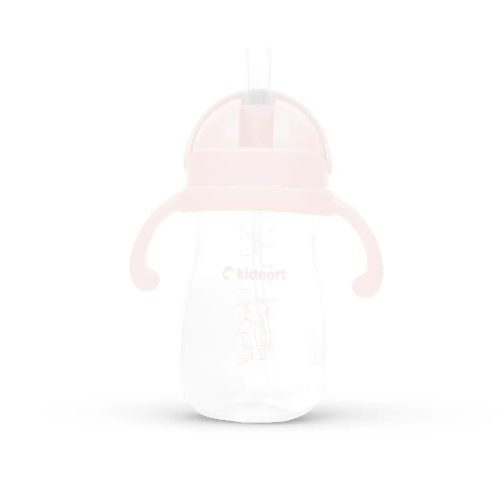 2.webp