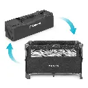 6.webp